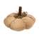 Mossy Natural Pumpkin 4.5"