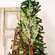 Woodland Cedar Spray, 27" 18176;