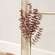 Burgundy Fall Ombre Eucalyptus Leaf Spray 18207;