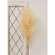 Weeping Pampas Grass Branch, Cream 18225;