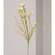 Spring Wildflower Spray, Cream 18246;