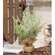 Frosted Woodland Cedar Tree w/Burlap Base, 12" 18273;