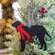 Santa Paws Labrador Ornament 36595;