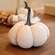 Cream Knit Pumpkin Medium ADC4098;