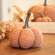 Burnt Orange Knit Pumpkin Medium ADC4101;