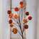 Multi-Color Velvet Pumpkin Pick, 34" RJAF2019;
