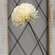 Cream Pompom Spray 18160;