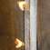 LED Bee Lights, 10 ct L03665;