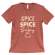 Spice Spice Baby T-Shirt, Heather Clay L123XXL