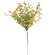 Baby Grass Pick - Light Green