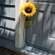 Giant Sunflower Stem 18289;