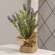 Purple Tabletop Wildflowers w/Burlap Base 18292;