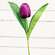 Purple Tulip Stem, 17.5" 18301;