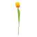 Sunrise Tulip Stem, 15.5" 18303