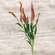 Icker Flower & Leaves Spray, Red 18306;