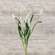 Icker Flower & Leaves Spray, White 18307;