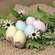 Pastel Easter Egg Crate, 6/Set SYASP3011;