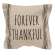 Forever Thankful Striped Natural Pillow 15554