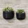 Distressed Black Metal Wall Bucket, 2/Set 15580AB;