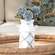 Whitewashed Fleur De Lis Galvanized Milk Can, Small 15686A;
