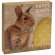 Easter Bunny Box Sign - 3 asst. #33961