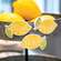 3/Set, Be Happy Lemon Magnets