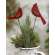 Family & Peace Cardinal Wooden Plant Stake, 2 Asstd. #37221