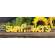 Sunflowers Wooden Cutout Word Sitter #37480