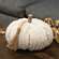 Cream Ribbed Pumpkin w/Beaded Tassel, Large ADCF3009