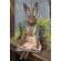 Grace's Garden Bunny Doll #CS38754