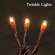 Twinkle Lights - Super Bright Teeny Bulbs - Brown Cord