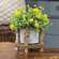 Small Cement Planter in Birch Frame QX19312;