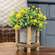 Mini Cement Planter in Birch Frame QX19313;