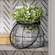 Small Glass Jar In Black Metal Carrier QX19355;