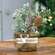Furry Jar w/Reindeer Charm, Medium QX19490;