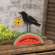 Sweet Summer Crow & Watermelon Sitter #37613