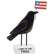 Land of the Free Crow Sitter