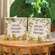 Plants Are My Therapy Box Sign, 2 Asstd.