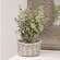 Medium Gray Willow Basket & Vase