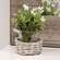 Small Gray Willow Basket & Vase;