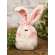 CS38915 Stuffed Fuzzy Bunny Head Sitter w/Pink & White Checked Bow