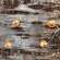 Jack O Lantern Lights, 15 Count G97419;