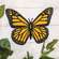 Monarch Butterfly Metal Wall Decor 70146;