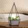 Wood Plant Holder w/Triangle Metal Frame