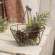 Wire Oval Basket with Swing Handle #QX19192
