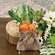 Fabric Carrot in Burlap Bag, 3/Set RJAE4001;