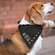 No, You Sit! Dog Bandana 54073;