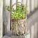 Glass Jar with Rope Netting BB6A852;