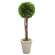 Preserved Boxwood Topiary, 20"  #f021m