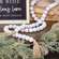 Distressed White Bead Garland w/Jute Tassels 35671;